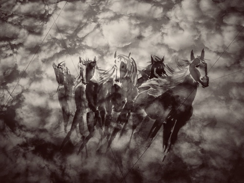 Photograph by Елена Амосова