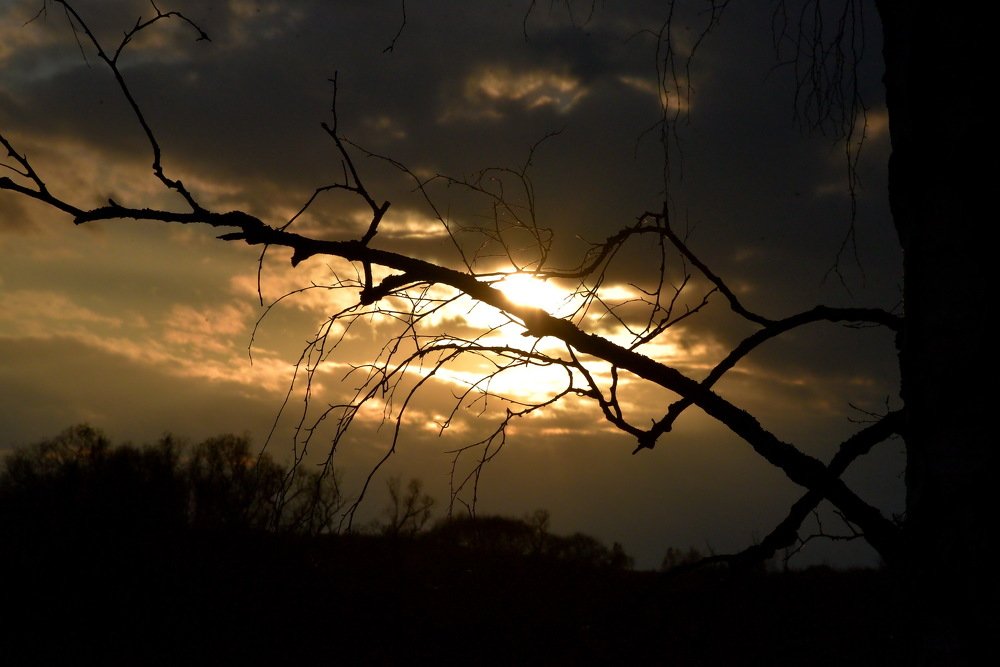 Photograph by Ольга Печёнова