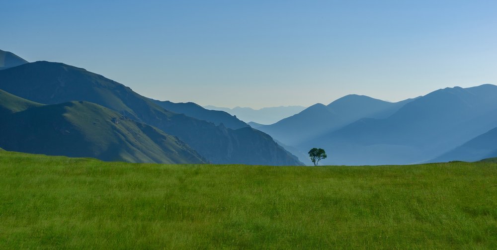 Фотография автора Севак Асрян