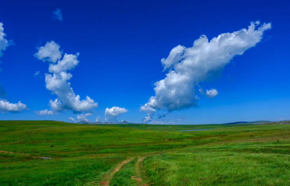 Фотография автора Севак Асрян