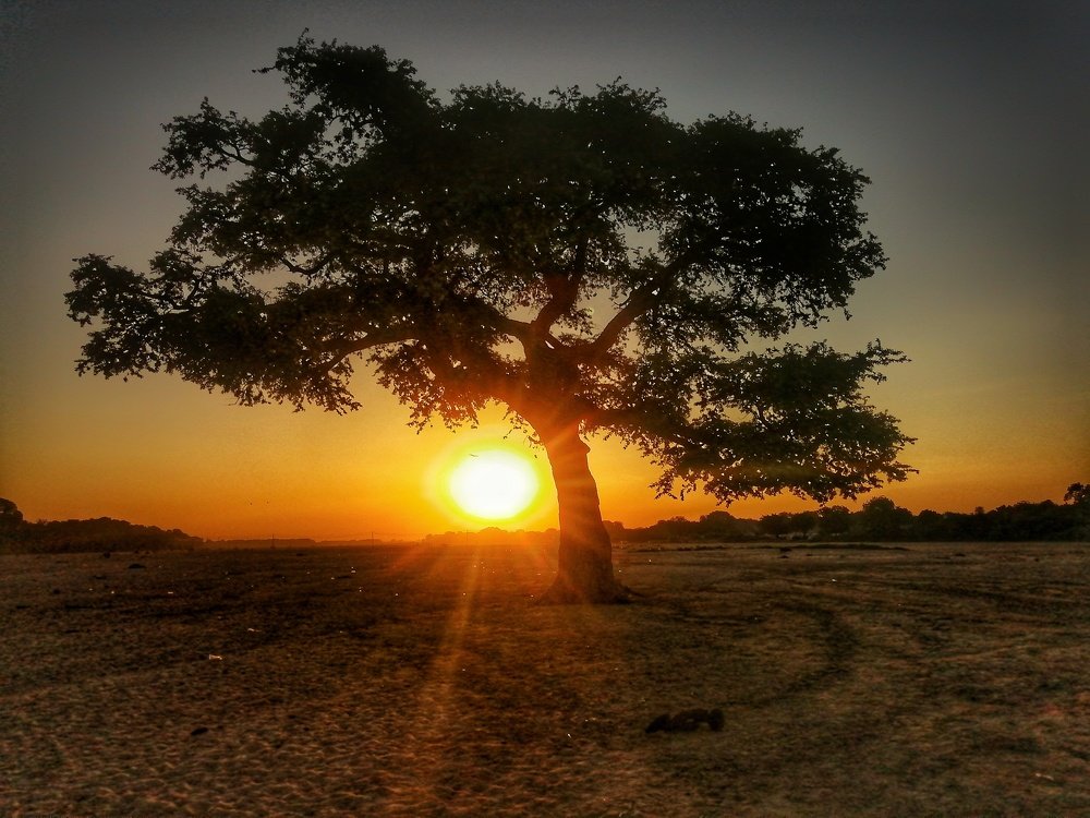 Photograph by Waleed Hassan