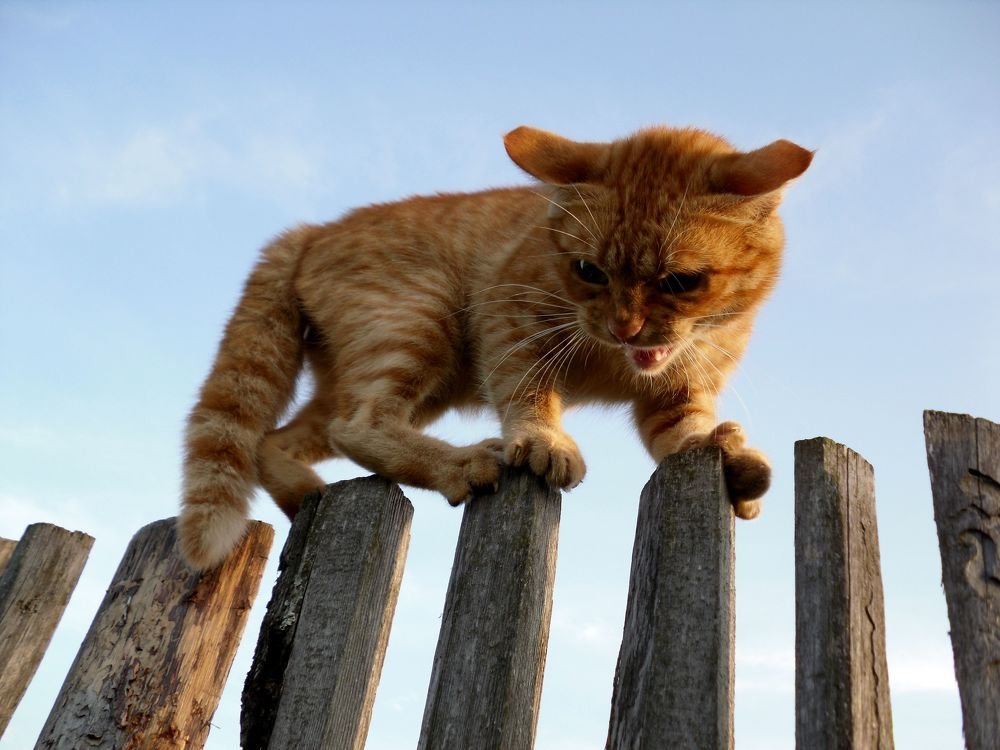 Photograph by Ольга Печёнова