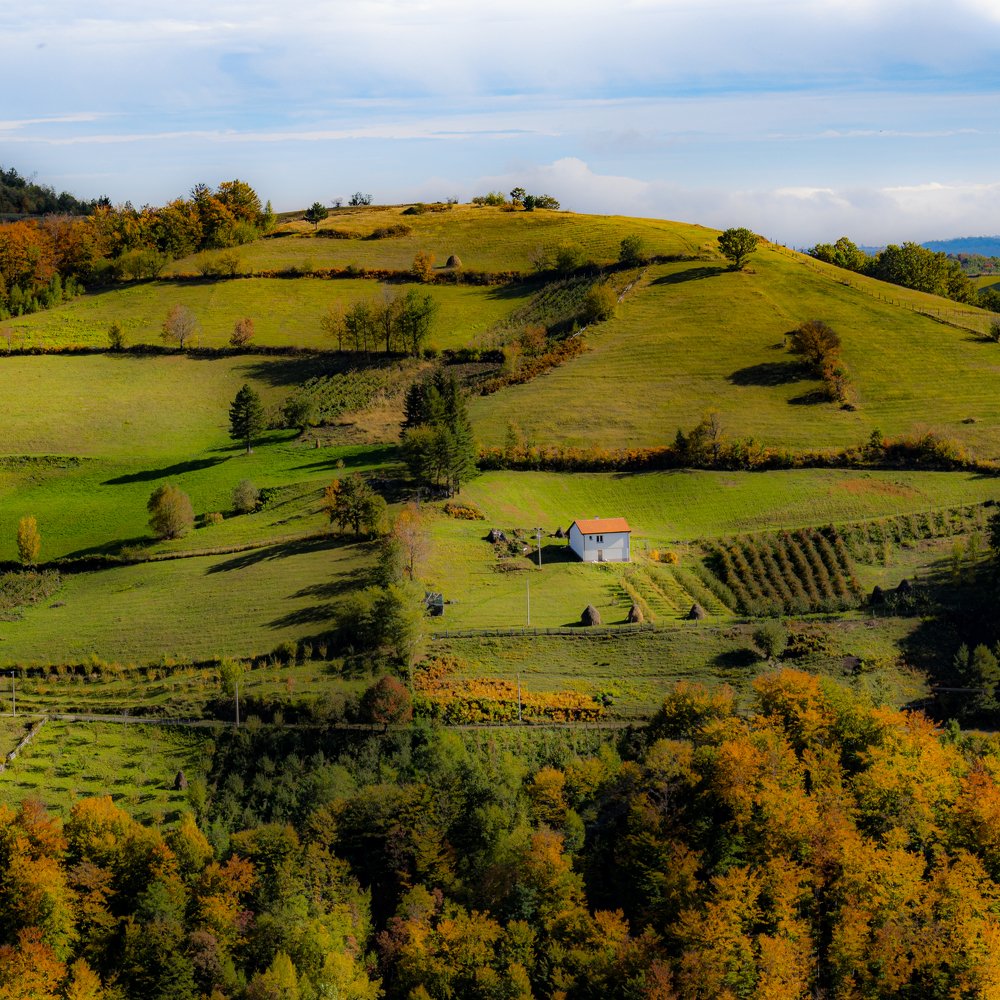 Photograph by Bojan Andjelic