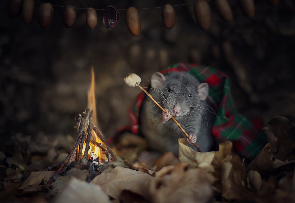 Photograph by Ксения Яруш