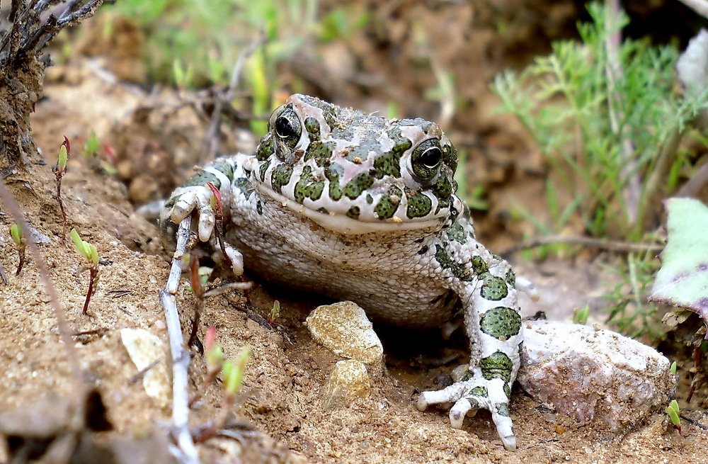 Photograph by Ольга Печёнова