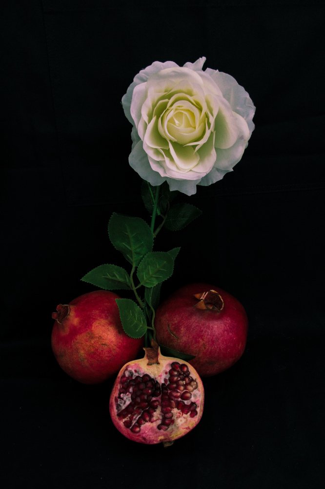 Photograph by Natalia Megelbey