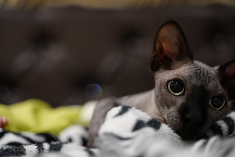 Photograph by Татьяна Машина