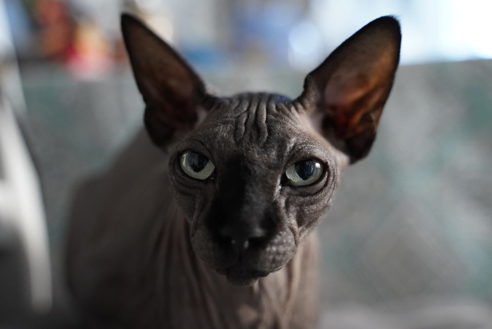 Photograph by Татьяна Машина