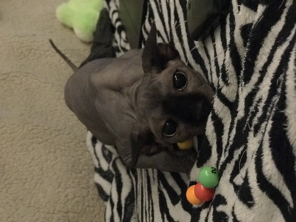 Photograph by Татьяна Машина