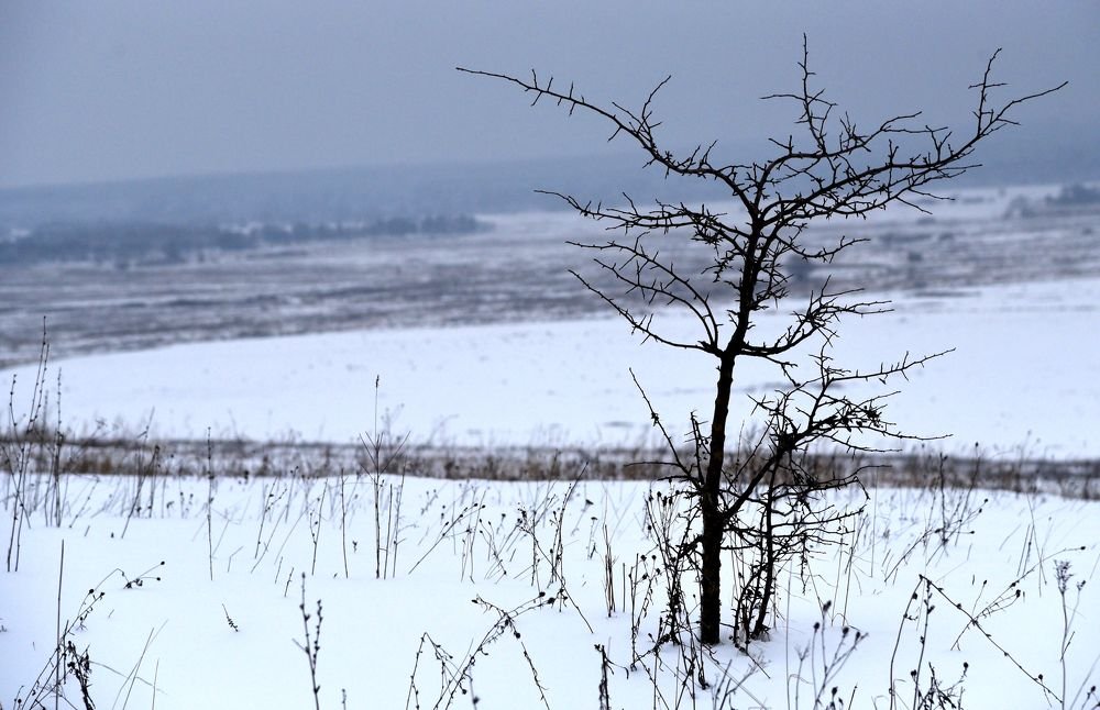 Photograph by Ольга Печёнова