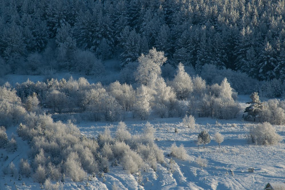 Photograph by Александра Лукашевич
