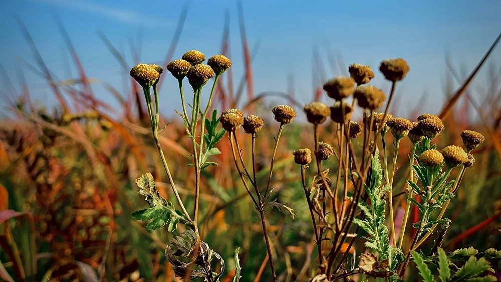 Photograph by Сергей Марченков