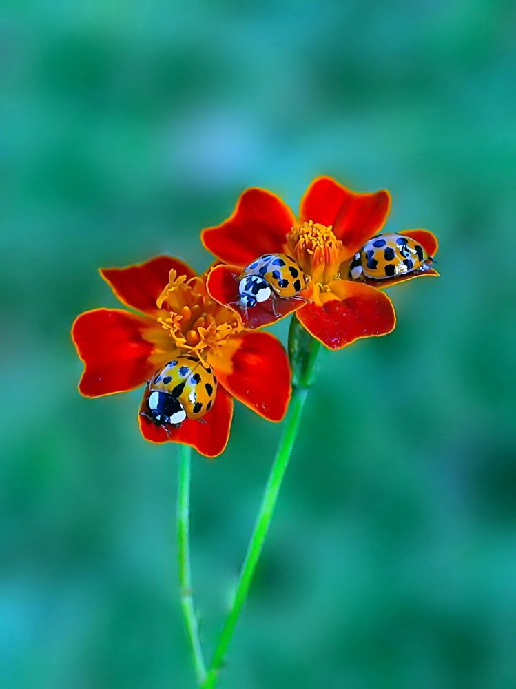 Photograph by 