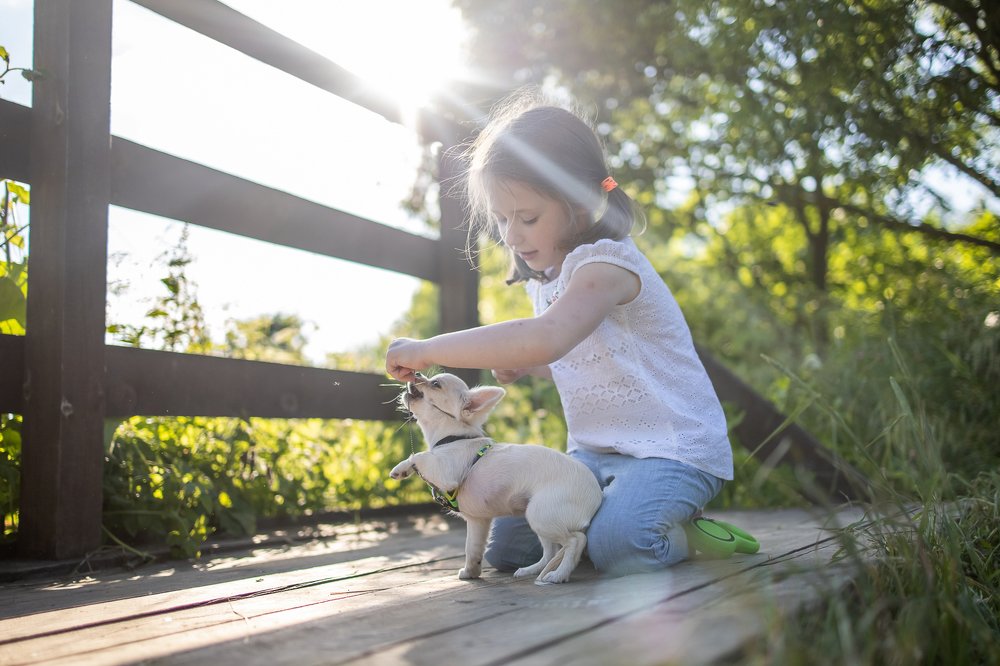 Photograph by Ирина