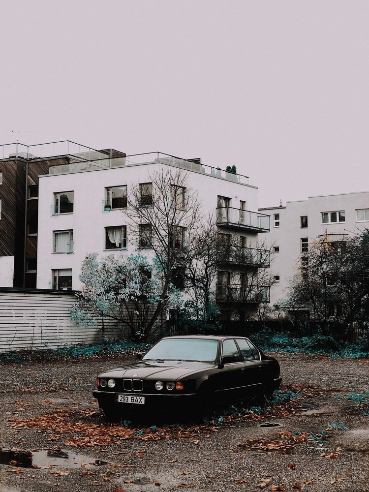 Фотография автора Дима Бурза