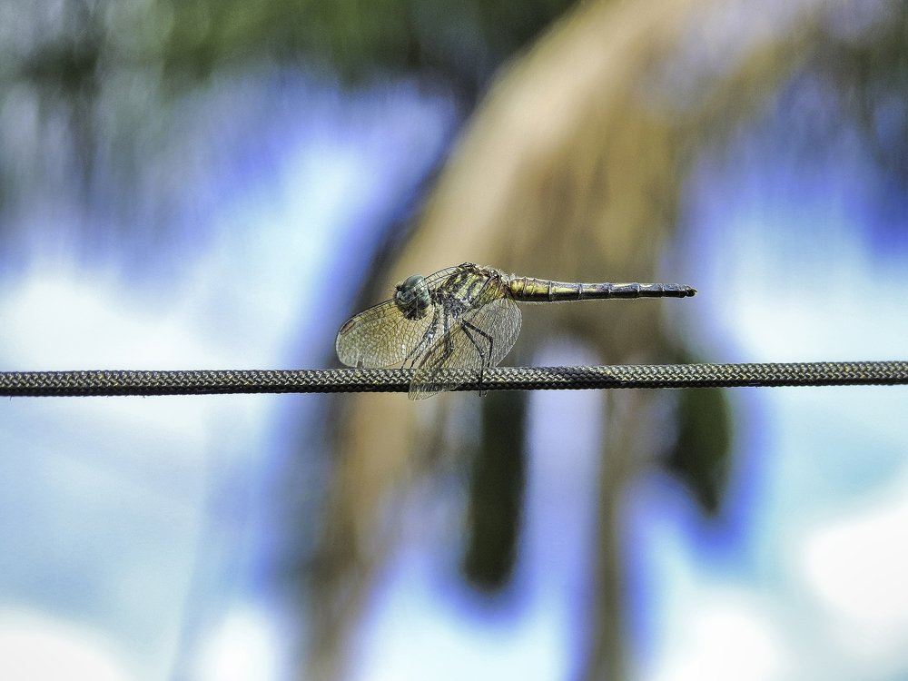 Photograph by MARIO HUMBERTO GARCIA GONZALEZ