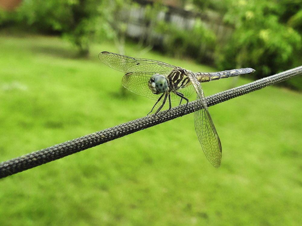 Photograph by MARIO HUMBERTO GARCIA GONZALEZ