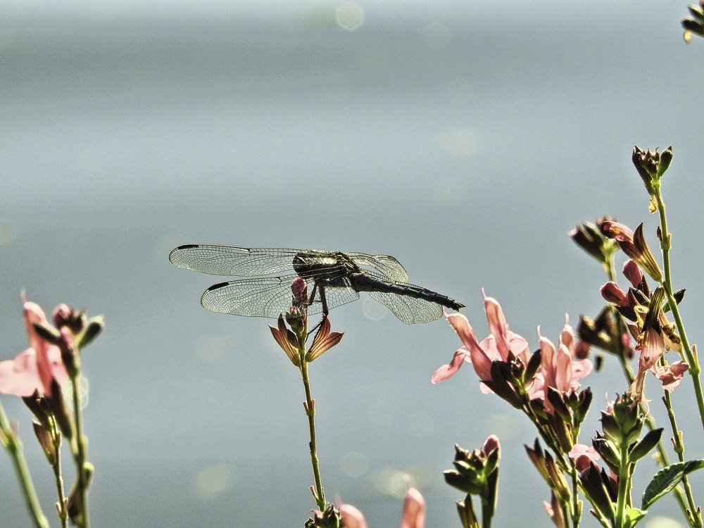 Photograph by MARIO HUMBERTO GARCIA GONZALEZ