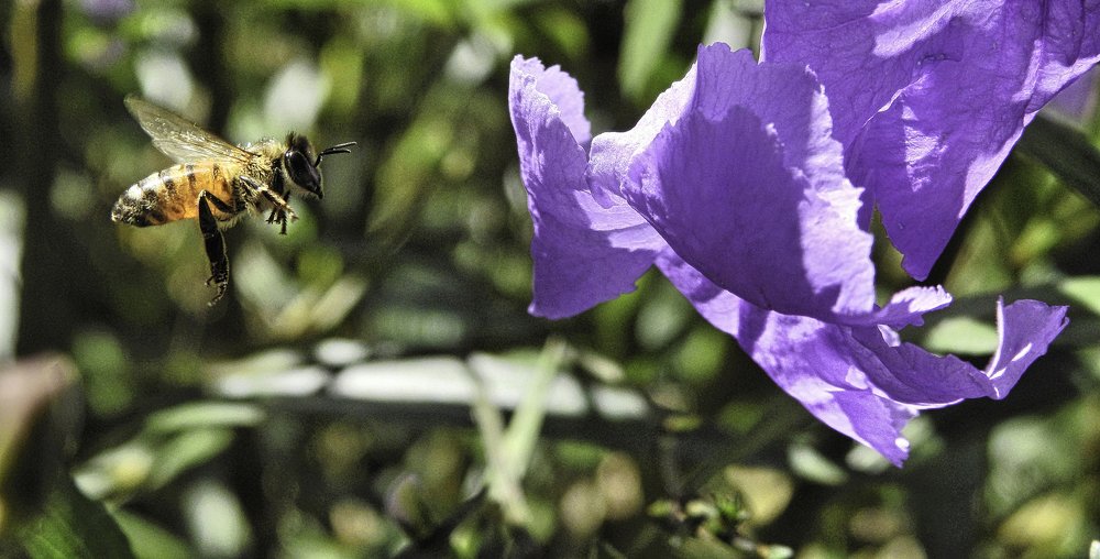 Photograph by MARIO HUMBERTO GARCIA GONZALEZ