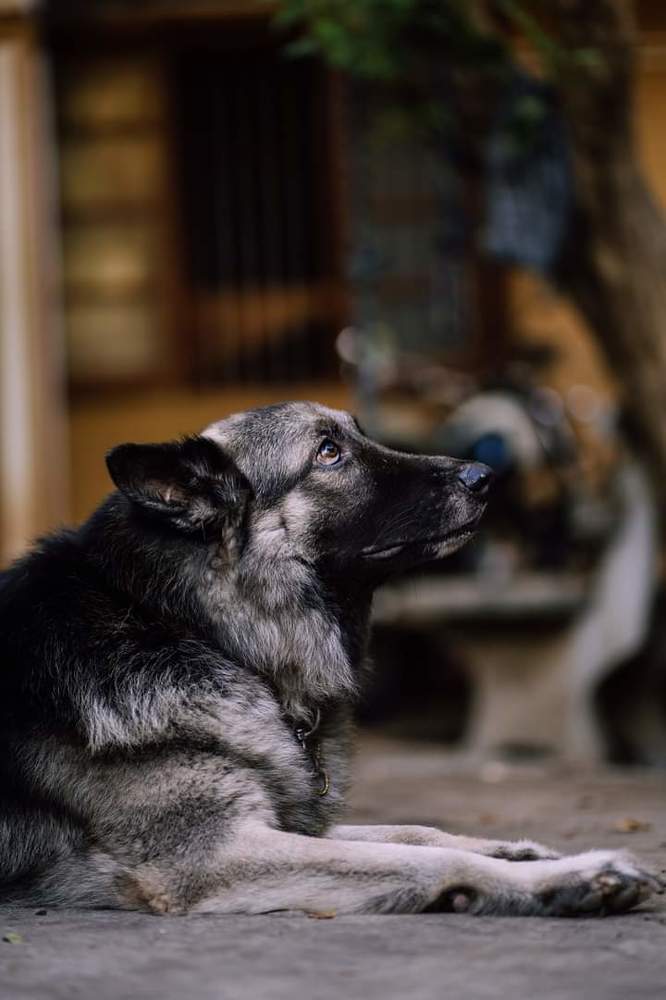 Фотография автора sathveegan