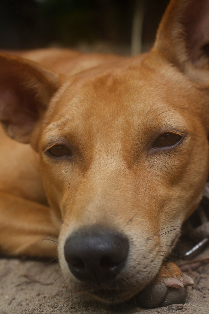 Фотография автора sathveegan