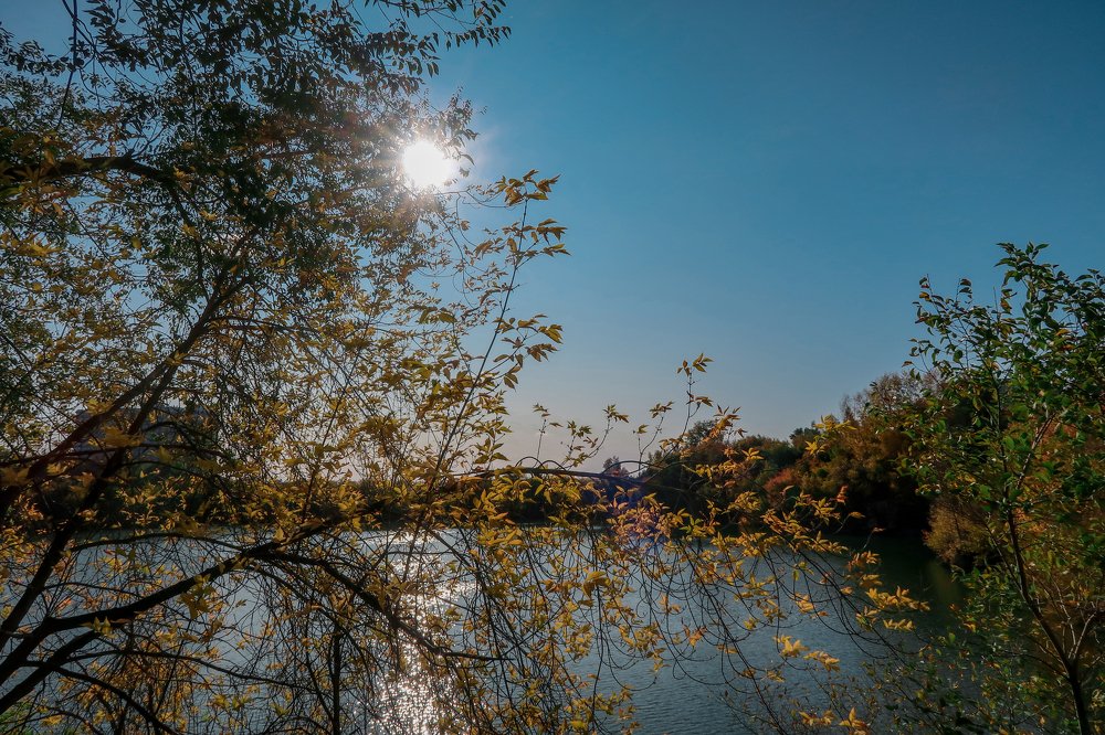 Photograph by Владимир Ткачёв