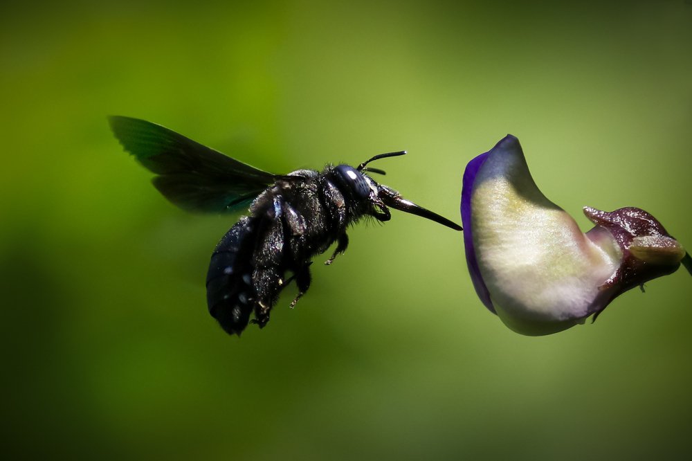 Photograph by Malay Ranjan Das