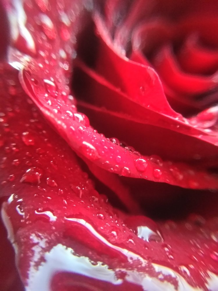 Photo #5340853