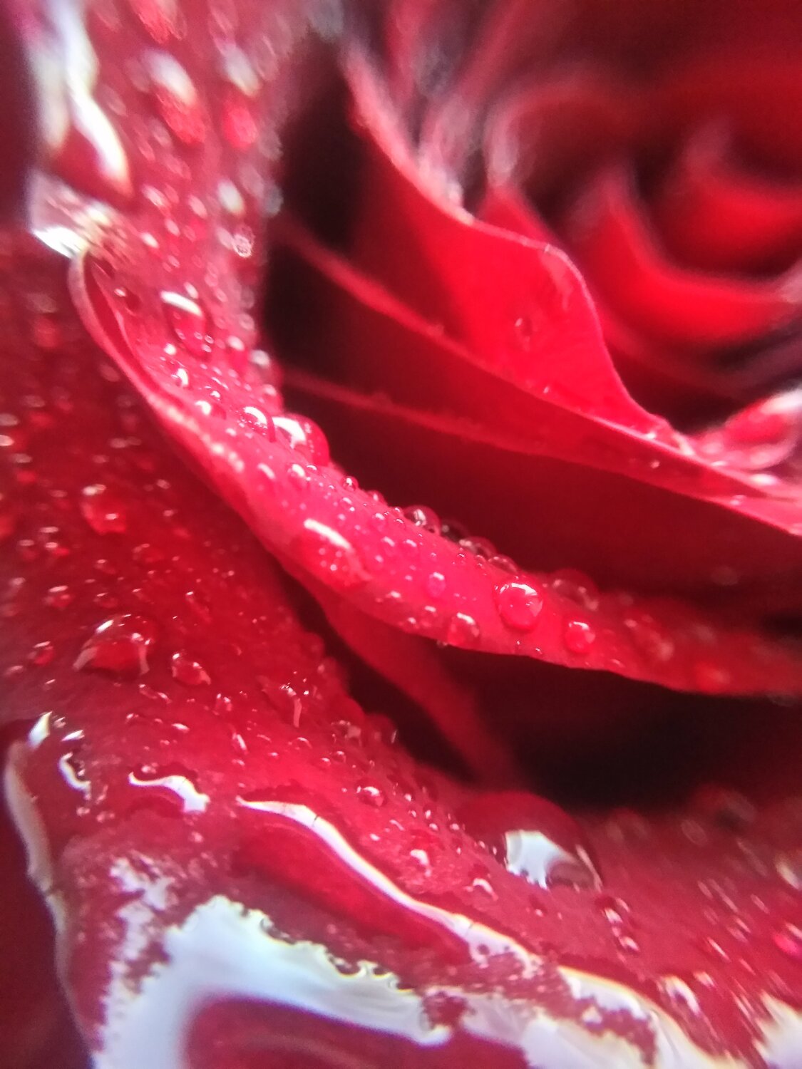 Photo #5340853
