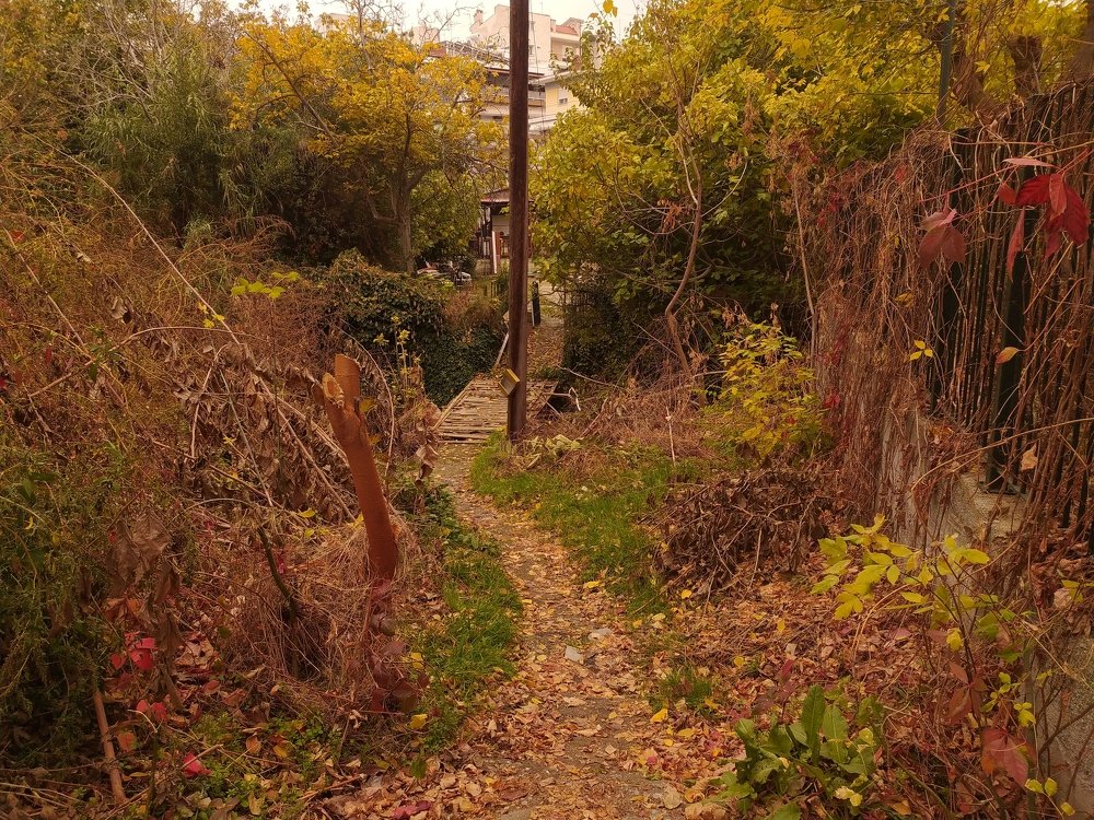 Photograph by Evangelia Kapetanaki