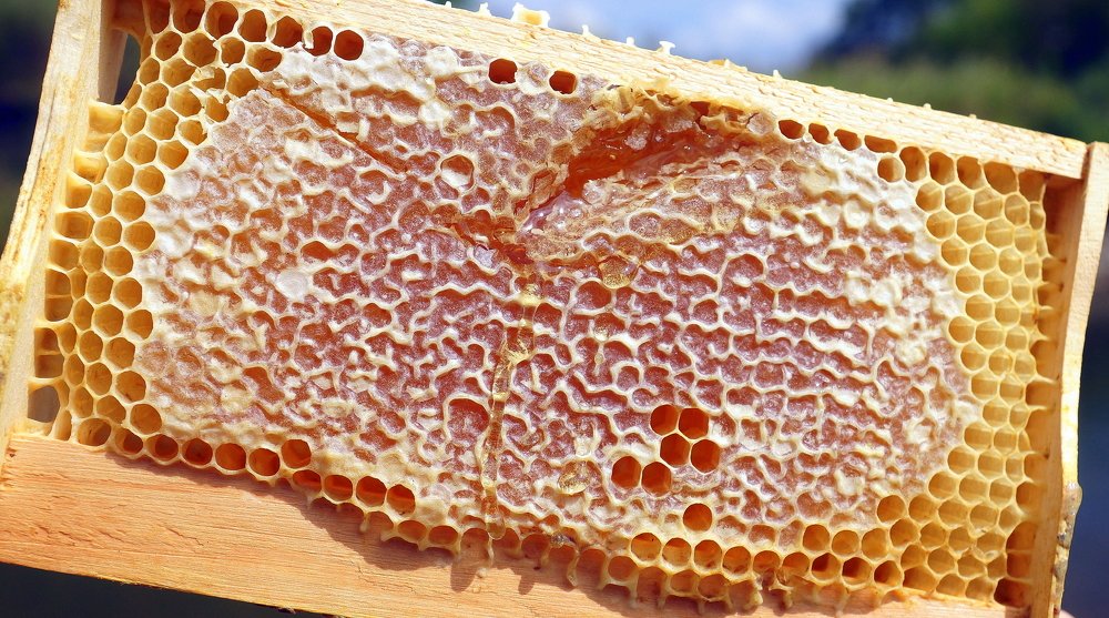 Photograph by Виктор Игнатенко.