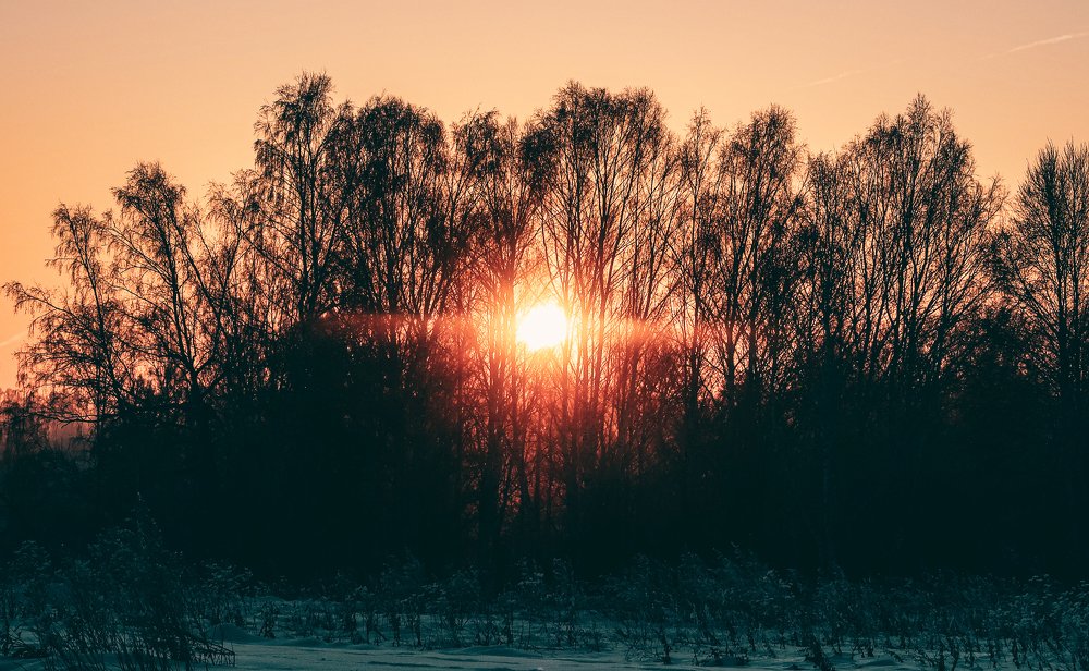 Photograph by Владимир Ткачёв