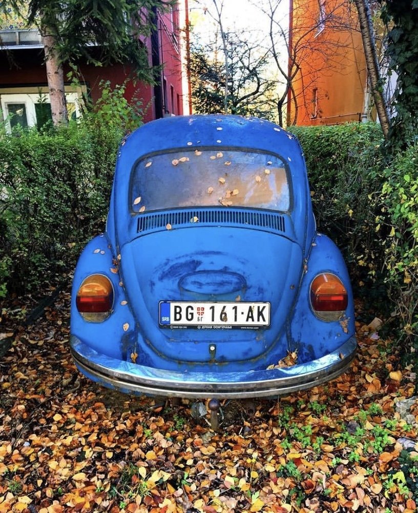 Photograph by Теодора Милекич