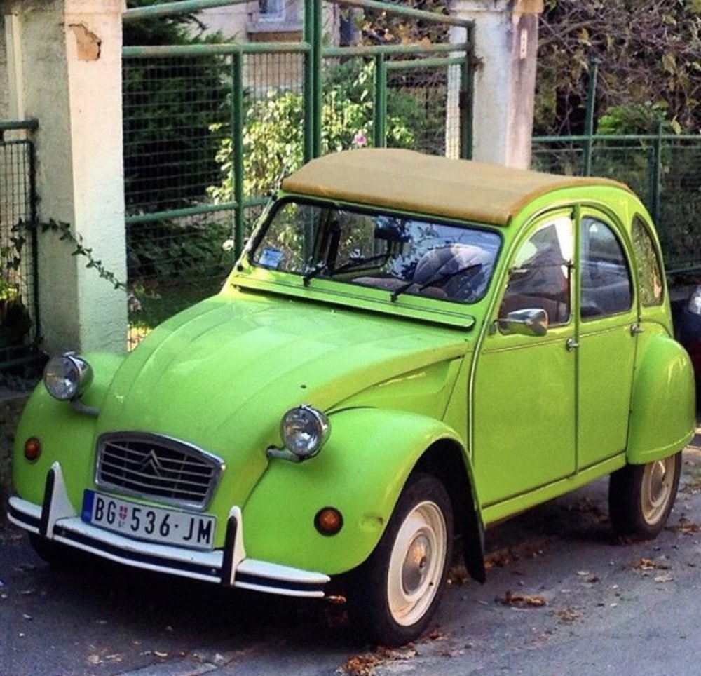 Photograph by Теодора Милекич