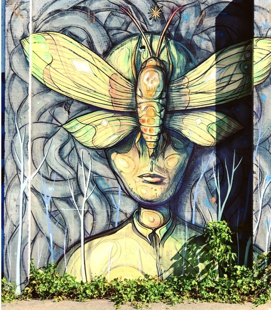 Photograph by Теодора Милекич