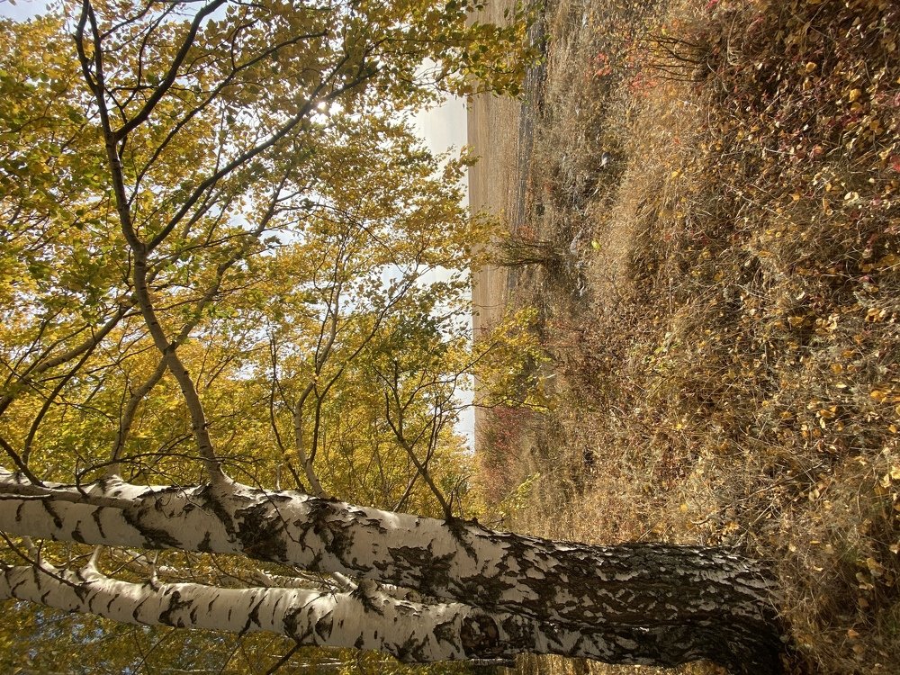 Photograph by Артем Логинов