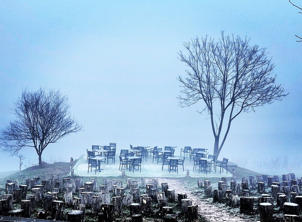 Photograph by Теодора Милекич