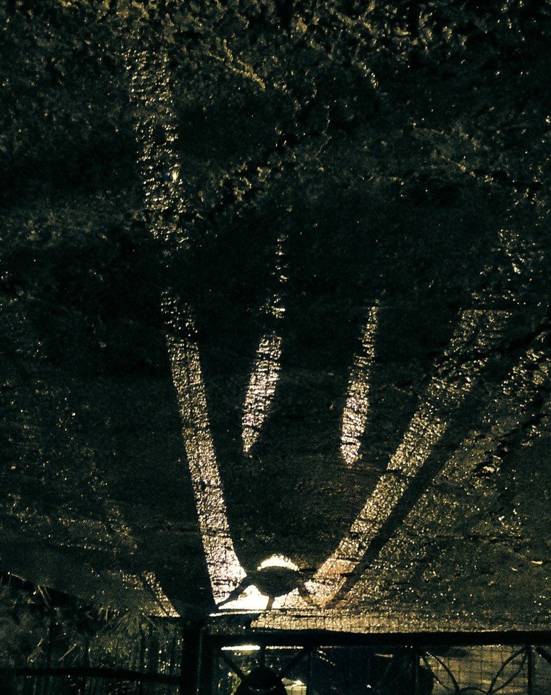 Photograph by Алексей Курочкин