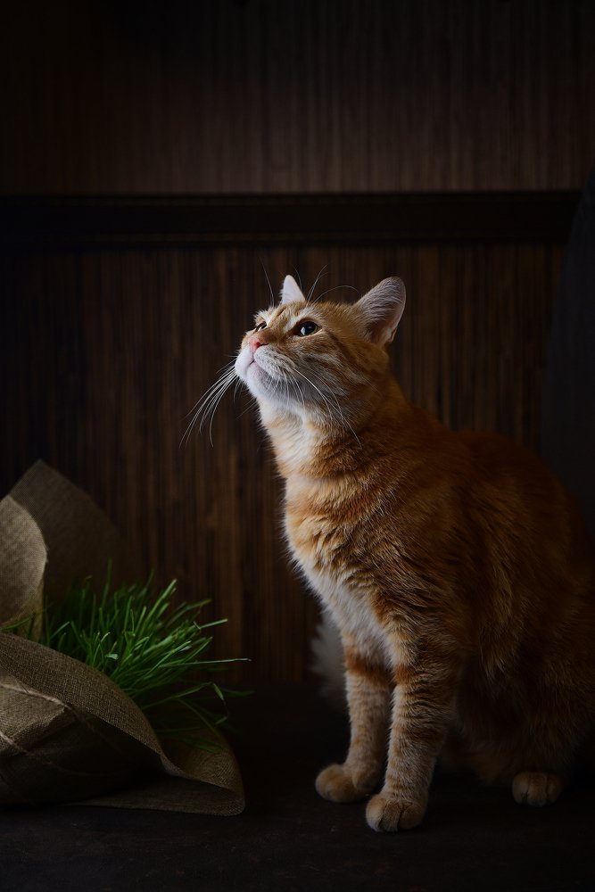 Photograph by Юлия Семенюк