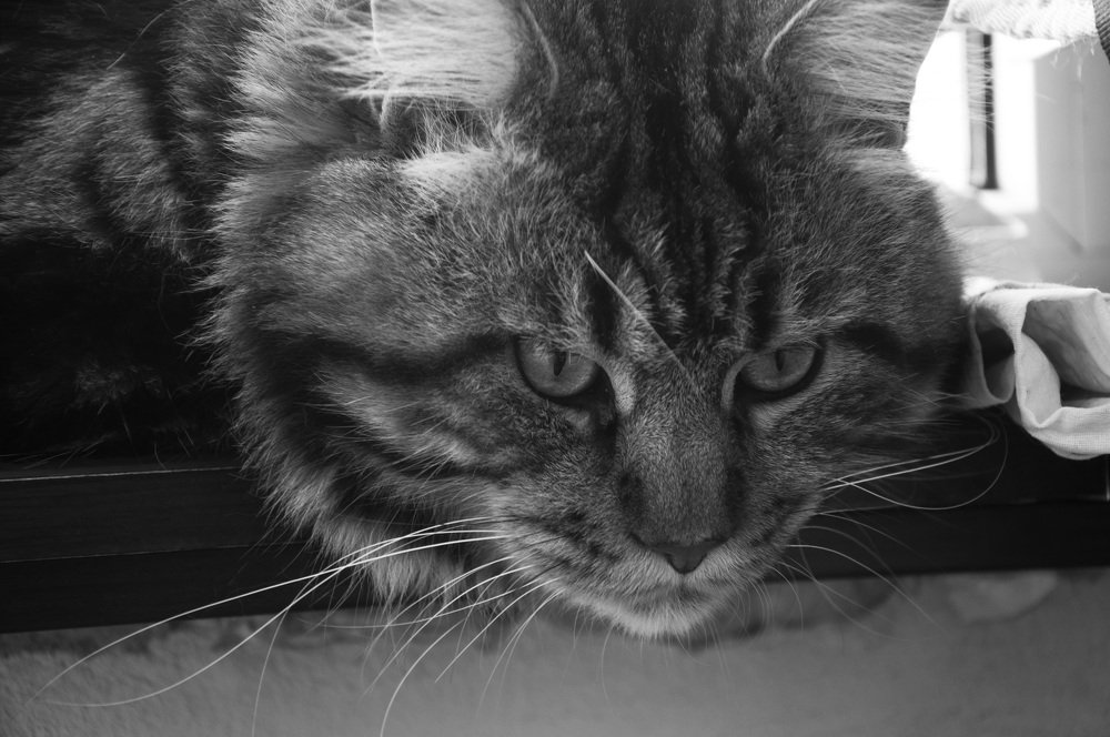 Photograph by Юлия Семенюк