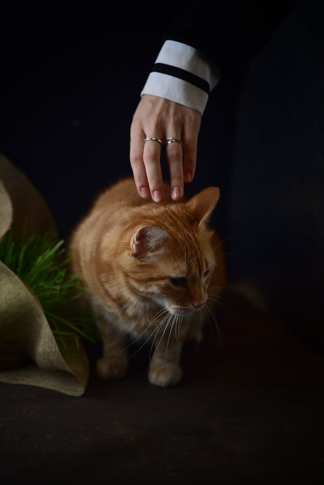 Photograph by Юлия Семенюк