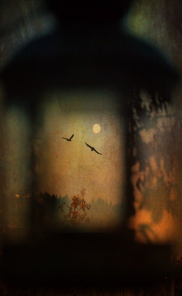 Photograph by Ольга Мукина