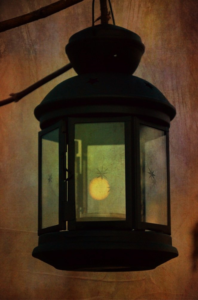 Photograph by Ольга Мукина