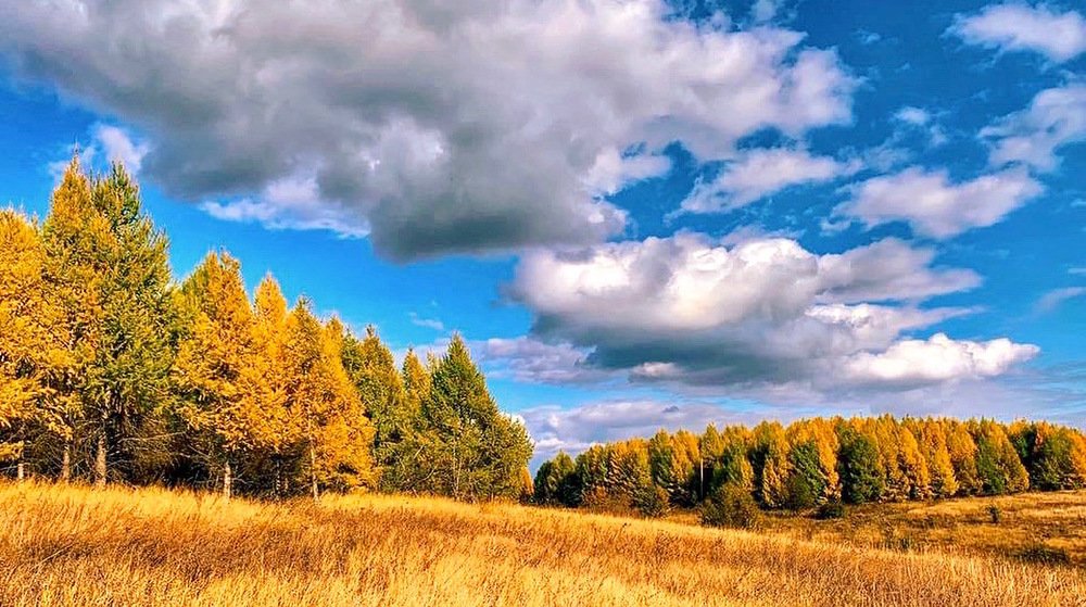 Photograph by Natasha Efanova