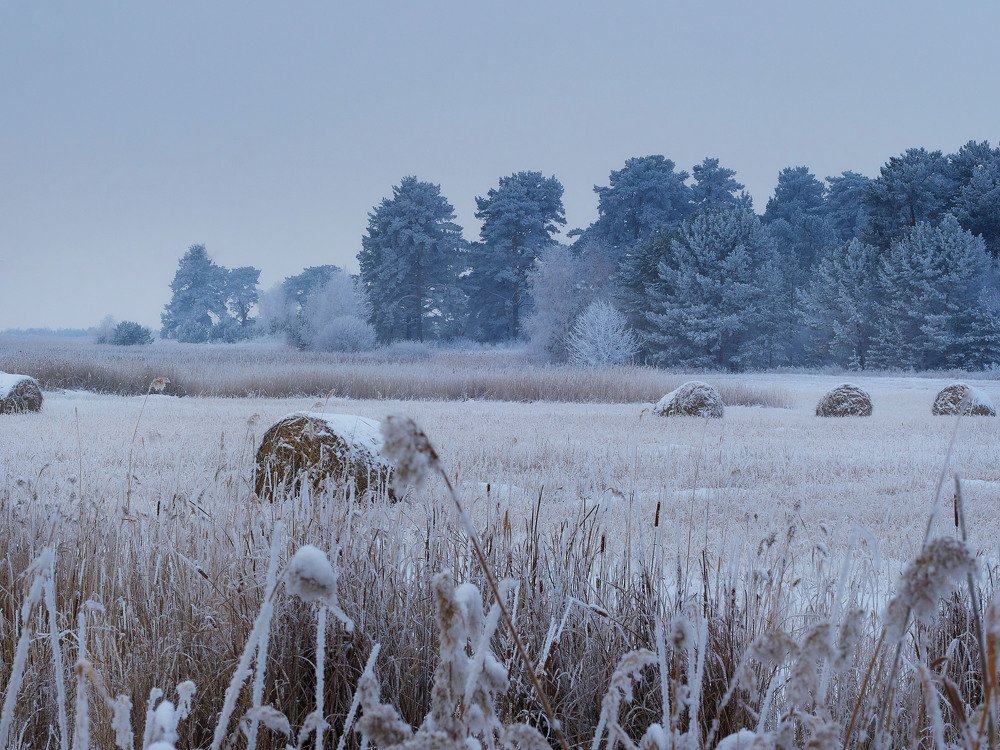 Photograph by Геннадий Сухинин