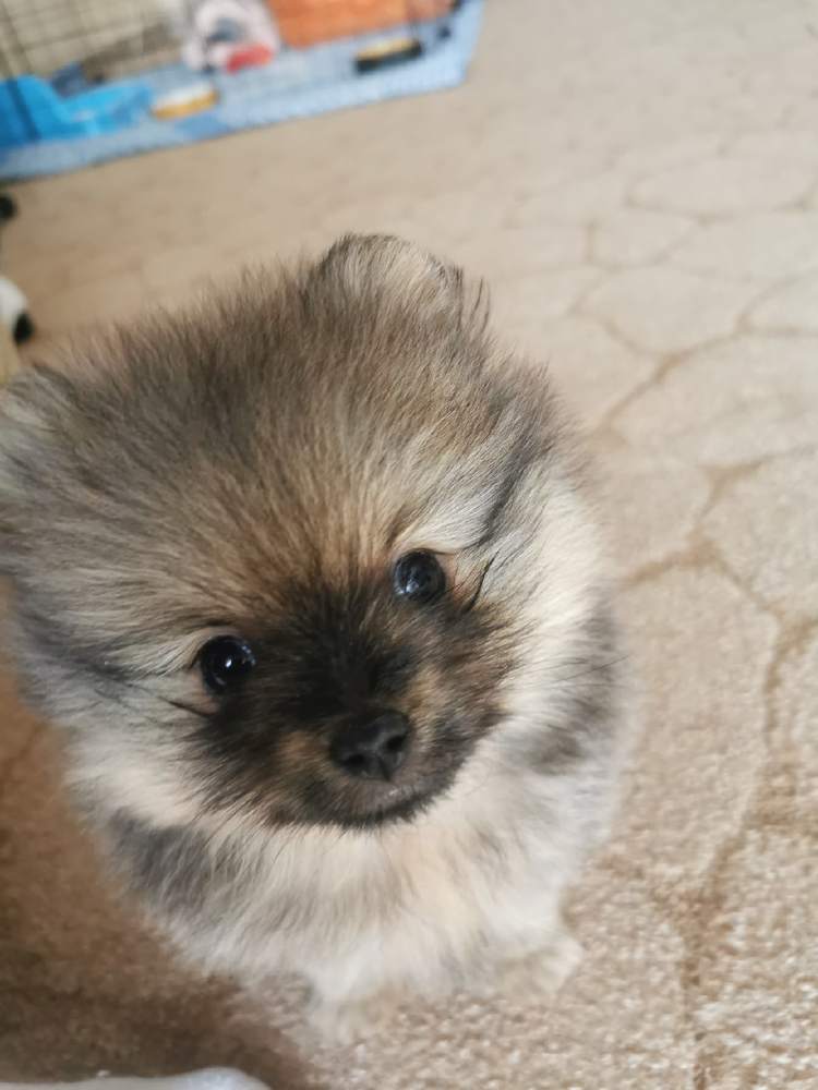 Photograph by Олеся