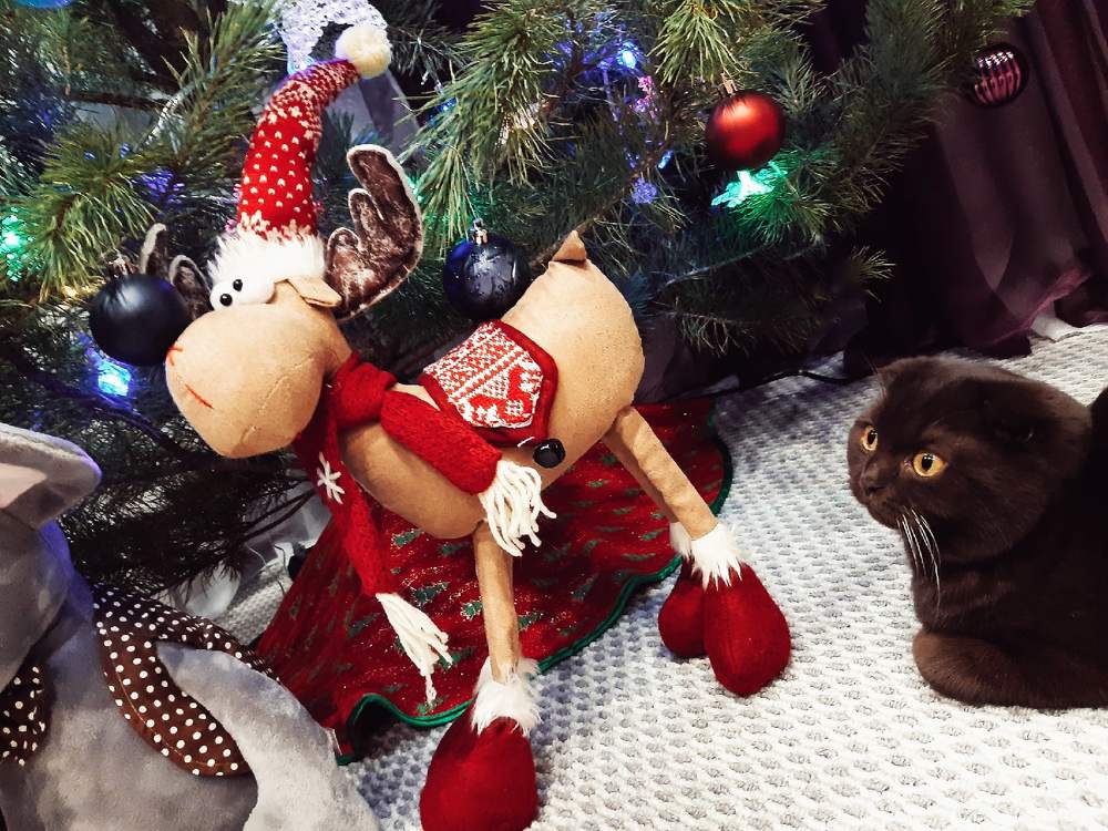 Photograph by Олеся