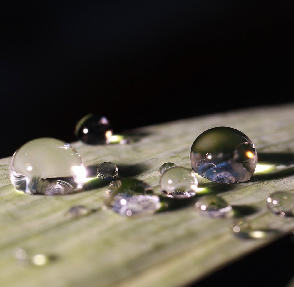 Photograph by Евгения Гудкова