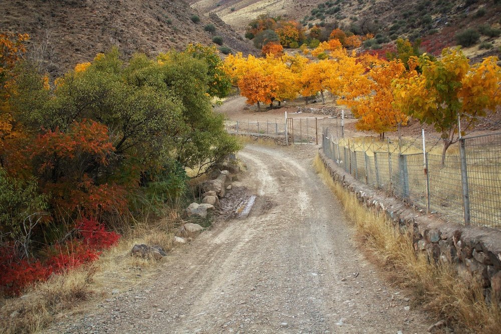 Photograph by Zohre sadat Lajevardi