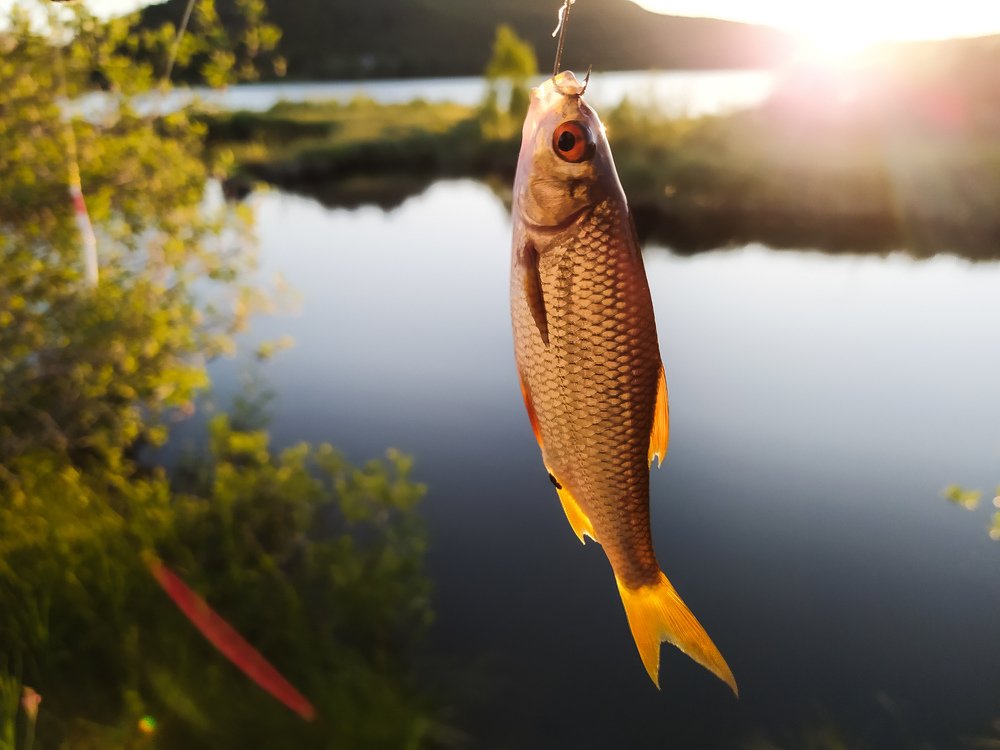 Фотография автора Yermek Zhunusbayev